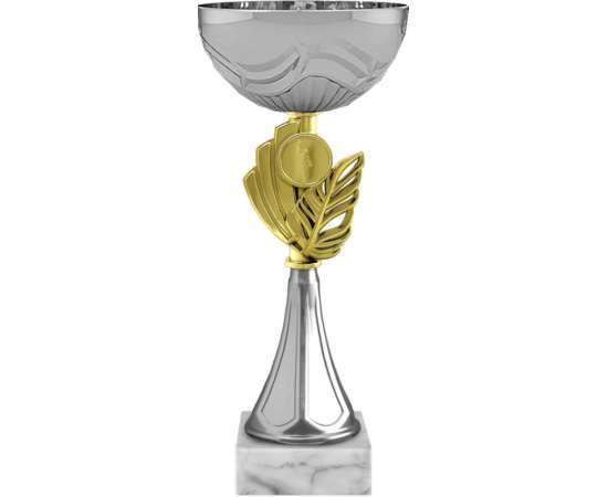 6507-230-210 Кубок Джена, серебро (золото), Цвет: серебро