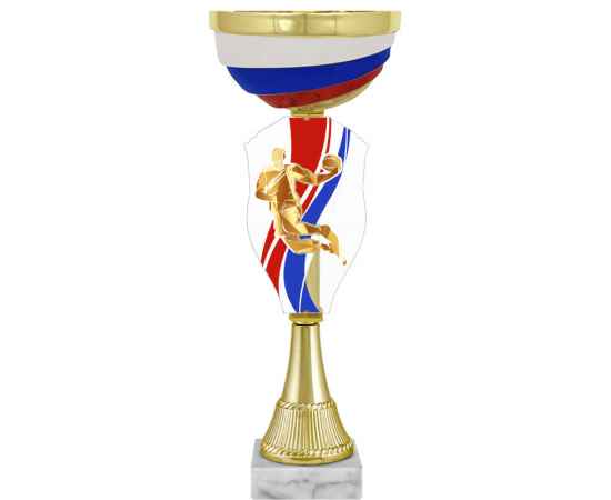 Кубок Илларион Баскетбол, золото (триколор), Цвет: Золото
