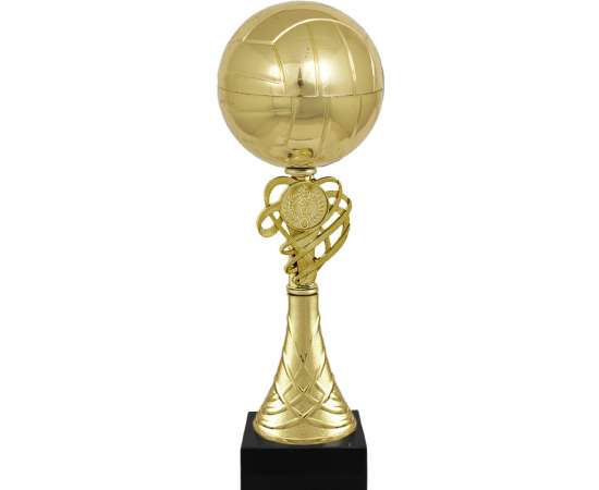 Кубок Тефида волейбол, золото (золото)