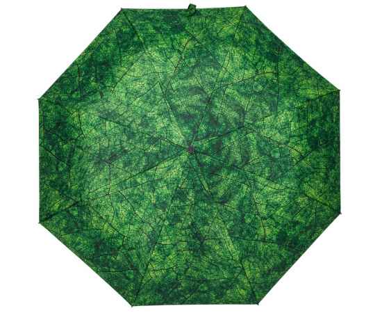 Зонт складной Evergreen, Размер: длина 57 см