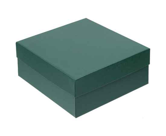 Коробка Emmet, большая, зеленая, Цвет: зеленый, Размер: 23х23х9