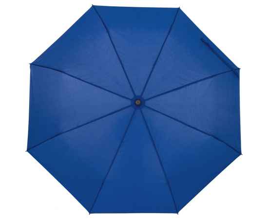 Зонт складной Monsoon, ярко-синий, Цвет: синий, Размер: длина 55 см