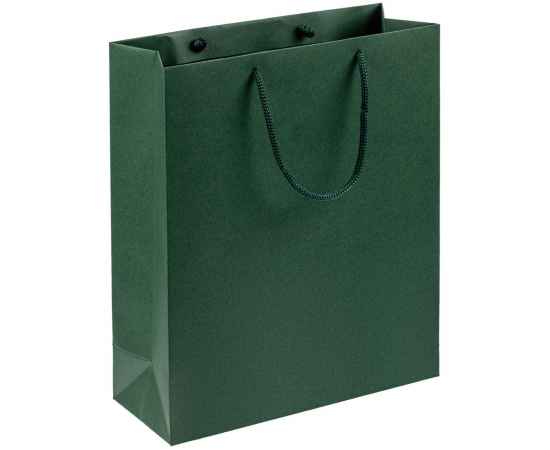 Пакет Wide, зеленый, Цвет: зеленый, Размер: 23х28х9