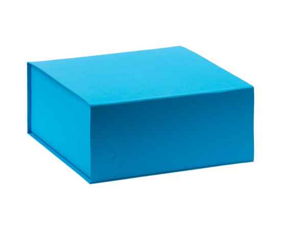 Коробка Amaze, голубая, Цвет: голубой, Размер: 26х25х11 см