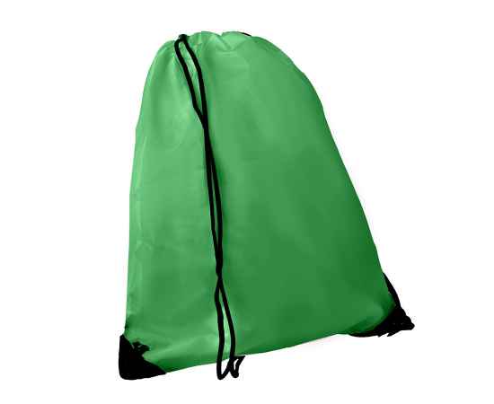 Рюкзак 'Promo', зеленый, 33х38,5х1см, полиэстер, шелкография, Цвет: зеленый