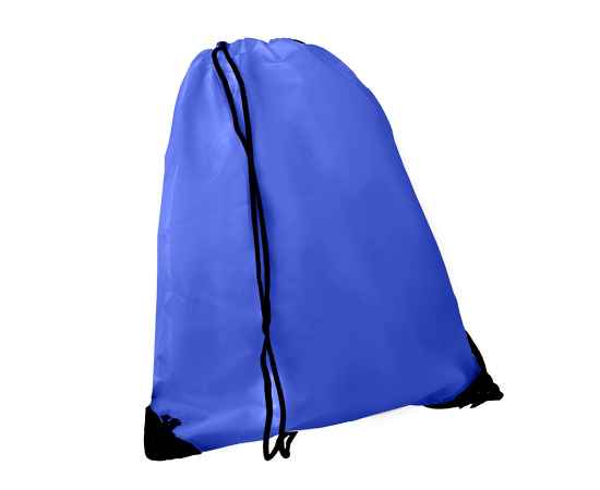 Рюкзак 'Promo', синий роял, 33х38,5х1см, полиэстер, шелкография, Цвет: ярко-синий