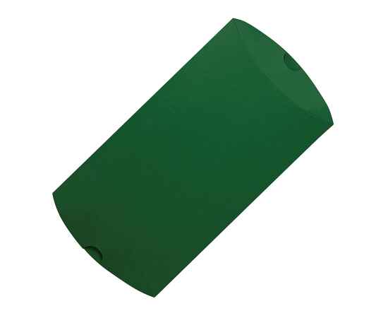 Коробка подарочная PACK, 23*16*4 см, зеленый, Цвет: зеленый