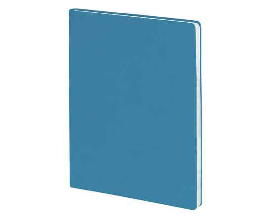 Бизнес-блокнот 'Biggy', B5 формат, голубой, серый форзац, мягкая обложка, в клетку, Цвет: голубой