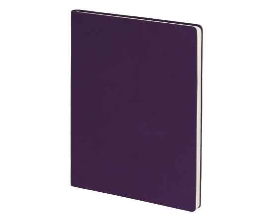 Бизнес-блокнот 'Biggy', B5 формат, фиолетовый, серый форзац, мягкая обложка, в клетку, Цвет: фиолетовый