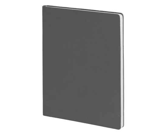 Бизнес-блокнот BIGGY, B5 формат, серый, серый форзац, мягкая обложка, в клетку, Цвет: серый