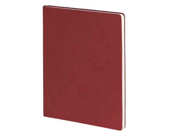 Бизнес-блокнот 'Biggy', B5 формат, красный, серый форзац, мягкая обложка, в клетку, Цвет: красный