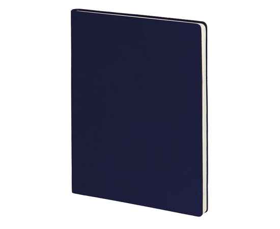Бизнес-блокнот 'Biggy', B5 формат, темно-синий, серый форзац, мягкая обложка, в клетку, Цвет: тёмно-синий