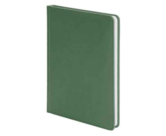 Ежедневник недатированный Campbell, А5,  зеленый, белый блок, Цвет: зеленый