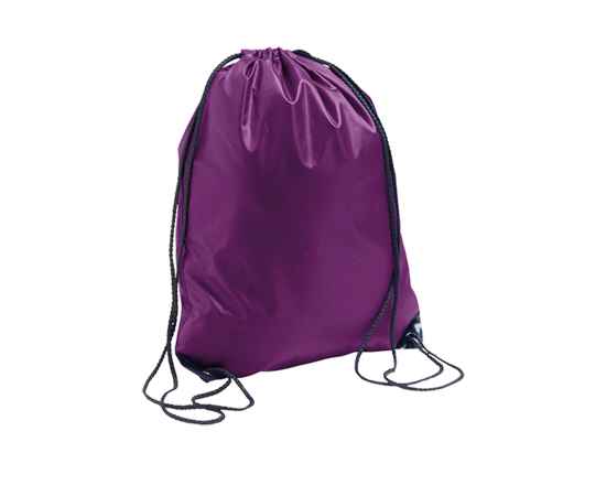 Рюкзак 'URBAN', фиолетовый, 45?34,5 см, 100% полиэстер, 210D, Цвет: фиолетовый