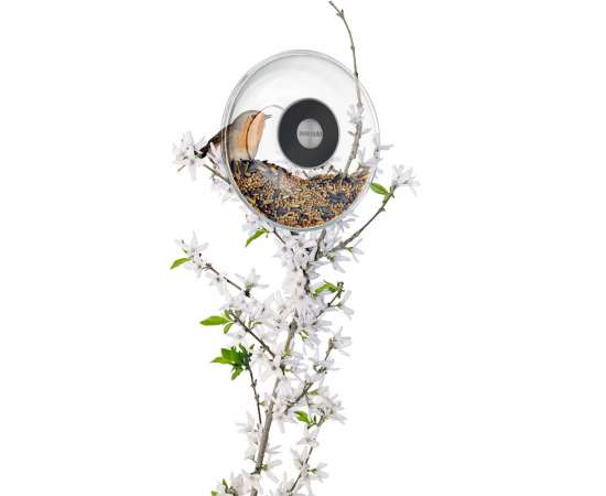 Кормушка для птиц Window Bird Feeder, прозрачная, малая, Цвет: прозрачный, Размер: 14, изображение 4
