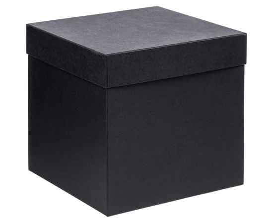 Коробка Cube, L, черная, Цвет: черный