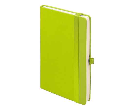 Ежедневник недатированный HAMILTON, A5, светло-зеленый, кремовый блок, Цвет: светло-зеленый