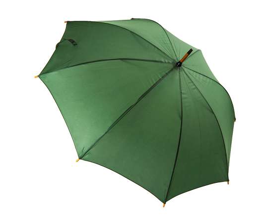 , изображение 4