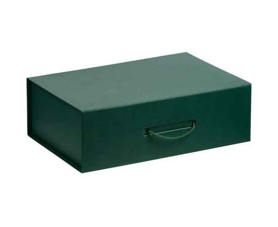 Коробка Big Case, зеленая, Цвет: зеленый