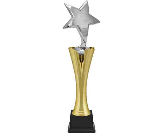 Награда звезда (серебро)