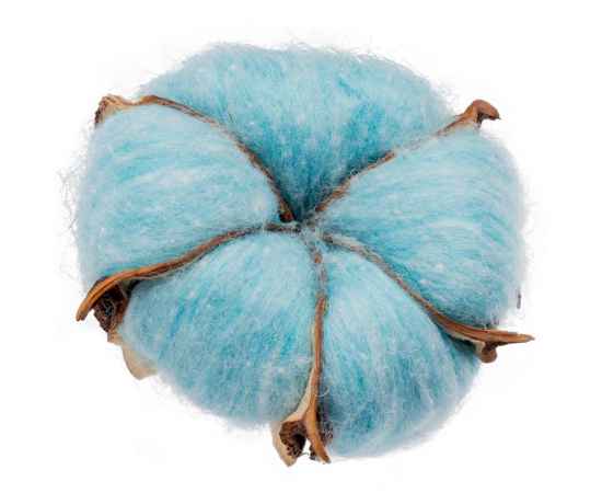 Цветок хлопка Cotton, голубой, Цвет: голубой, Размер: коробка: 13х19х6 см