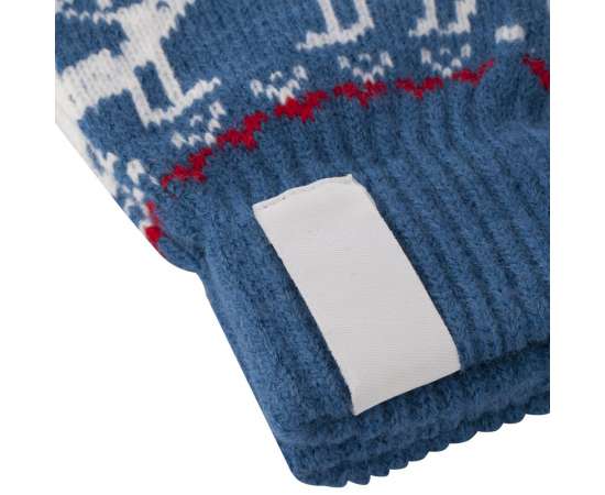Сенсорные перчатки Raindeer, синие, Цвет: синий, Размер: 8, изображение 3