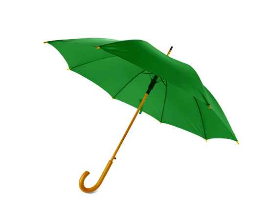 Зонт-трость Arwood, зеленый, Цвет: зеленый