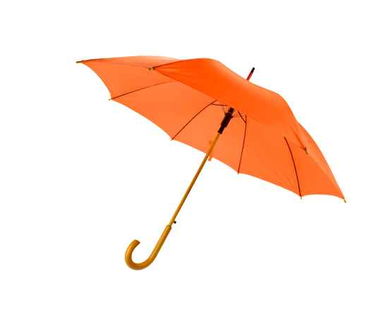 Зонт-трость Arwood, оранжевый, Цвет: оранжевый