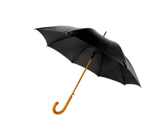 Зонт-трость Arwood, черный, Цвет: черный