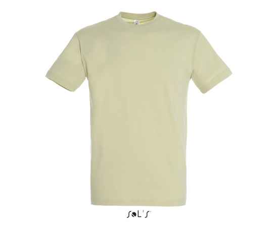 Фуфайка (футболка) REGENT мужская,Зеленый шалфей S