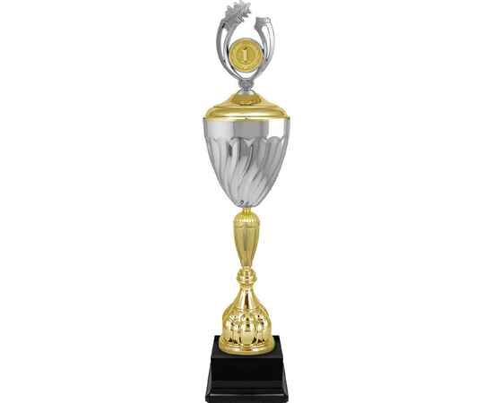 6871-000 Кубок Грэйсон 1,2,3 место, серебро (золото), Цвет: серебро, изображение 2