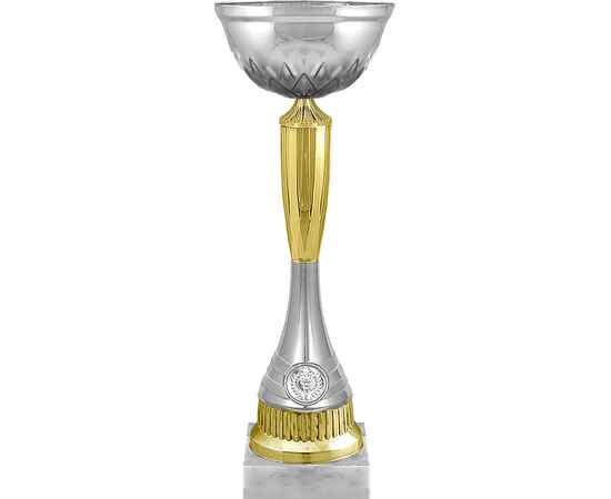 6907-000 Кубок Давлат, серебро (золото), Цвет: серебро, изображение 2