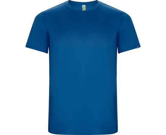 Спортивная футболка IMOLA мужская, КОРОЛЕВСКИЙ СИНИЙ S, Цвет: королевский синий