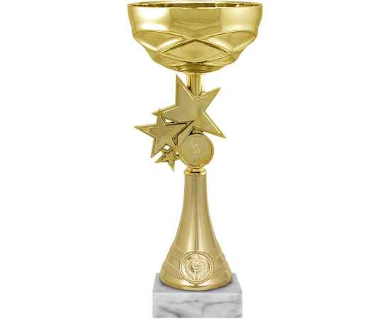 Кубок Дастина, золото (золото), изображение 2