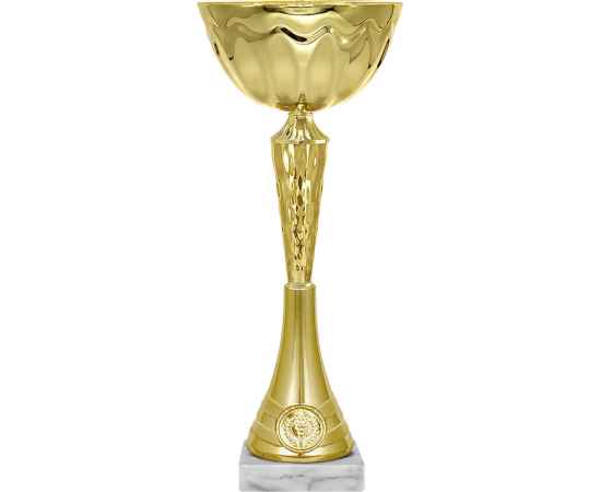 4054-000 Кубок Самира, золото, Цвет: Золото