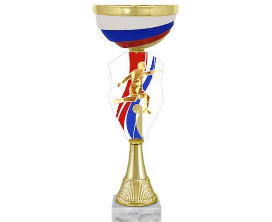 Кубок Илларион Футбол, золото (триколор), изображение 2
