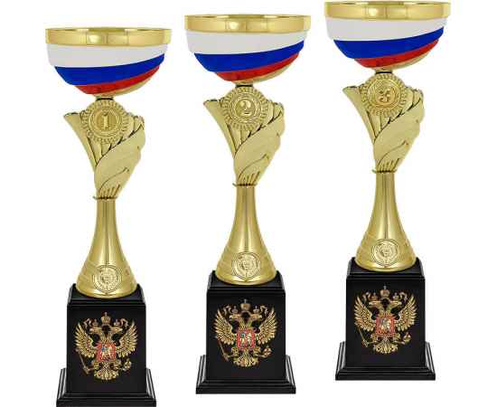 5649-000 Кубок Лораний 1,2,3 место, золото, Цвет: Золото