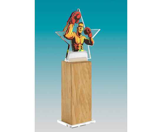 Акриловая награда на деревянной подставке Бокс, 5х25х4