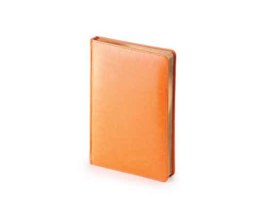 Ежедневник недатированный А5 Sidney Nebraska, A5, 3-128.07, Цвет: оранжевый, Размер: A5