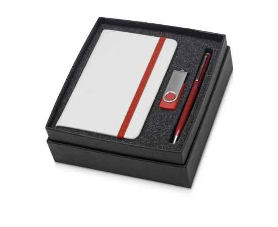 700317.01 Подарочный набор Reporter Plus с флешкой, ручкой и блокнотом А6, 8Gb, Цвет: красный,красный, Объем: А6, Размер: 8Gb