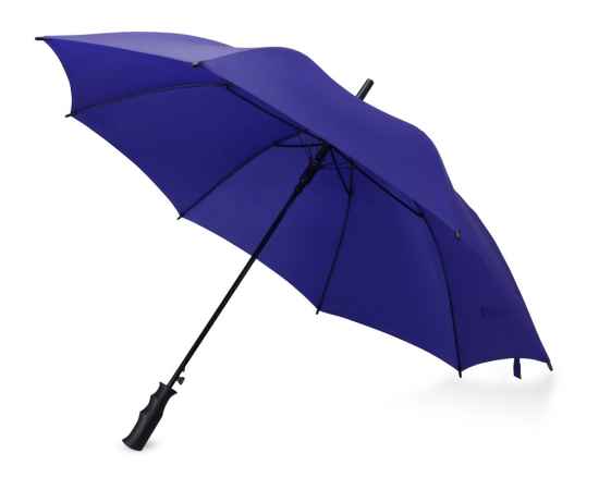 Зонт-трость Concord, 979082, Цвет: темно-синий