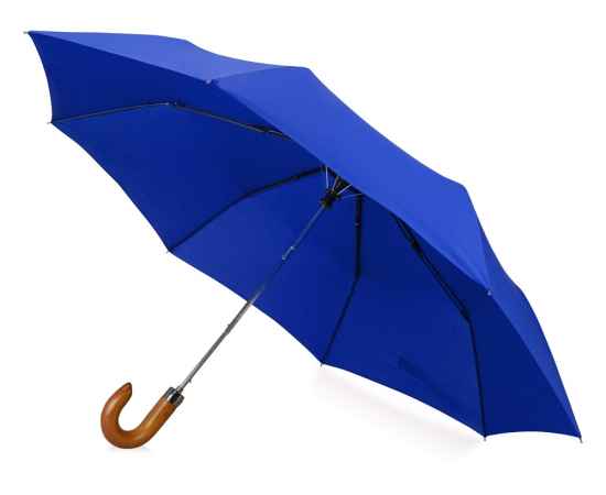 Зонт складной Cary, 979062, Цвет: темно-синий