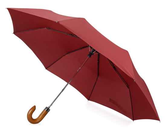 Зонт складной Cary, 979078, Цвет: бордовый