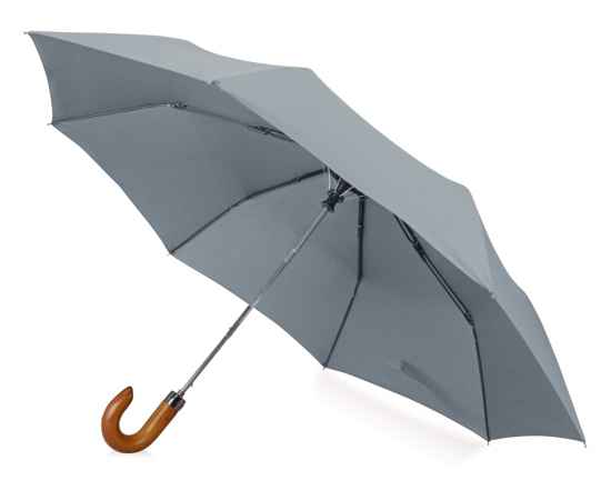 Зонт складной Cary, 979088, Цвет: серый