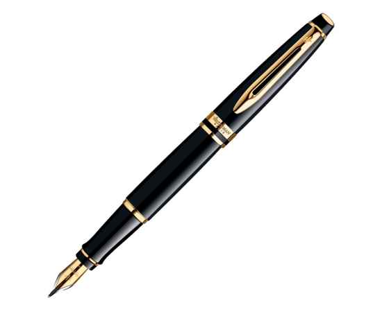 Ручка перьевая Expert, F, 326597, Цвет: черный,золотистый