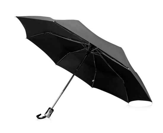 Зонт складной Alex, 10901600p, Цвет: черный