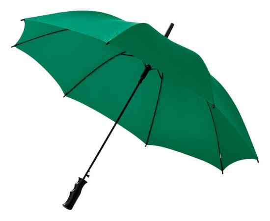 Зонт-трость Barry, 10905307, Цвет: зеленый