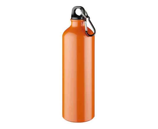 Алюминиевая бутылка Oregon с карабином, 10029707, Цвет: оранжевый, Объем: 770