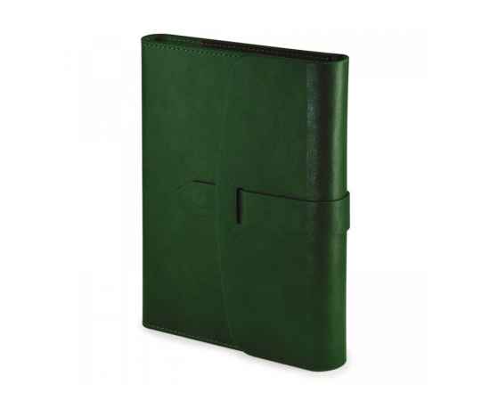 Ежедневник недатированный А5 Senate с магнитным клапаном, A5, 3-213.07, Цвет: темно-зеленый, Размер: A5
