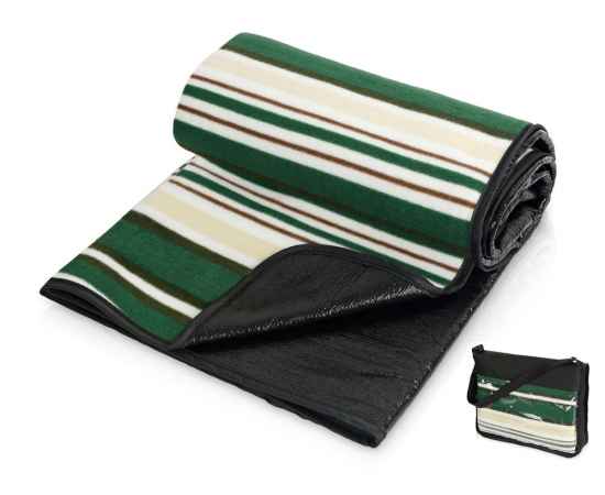 Плед для пикника Junket в сумке, 834703, Цвет: зеленый